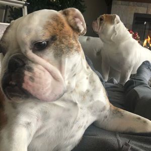 Meet your Posher, Jason